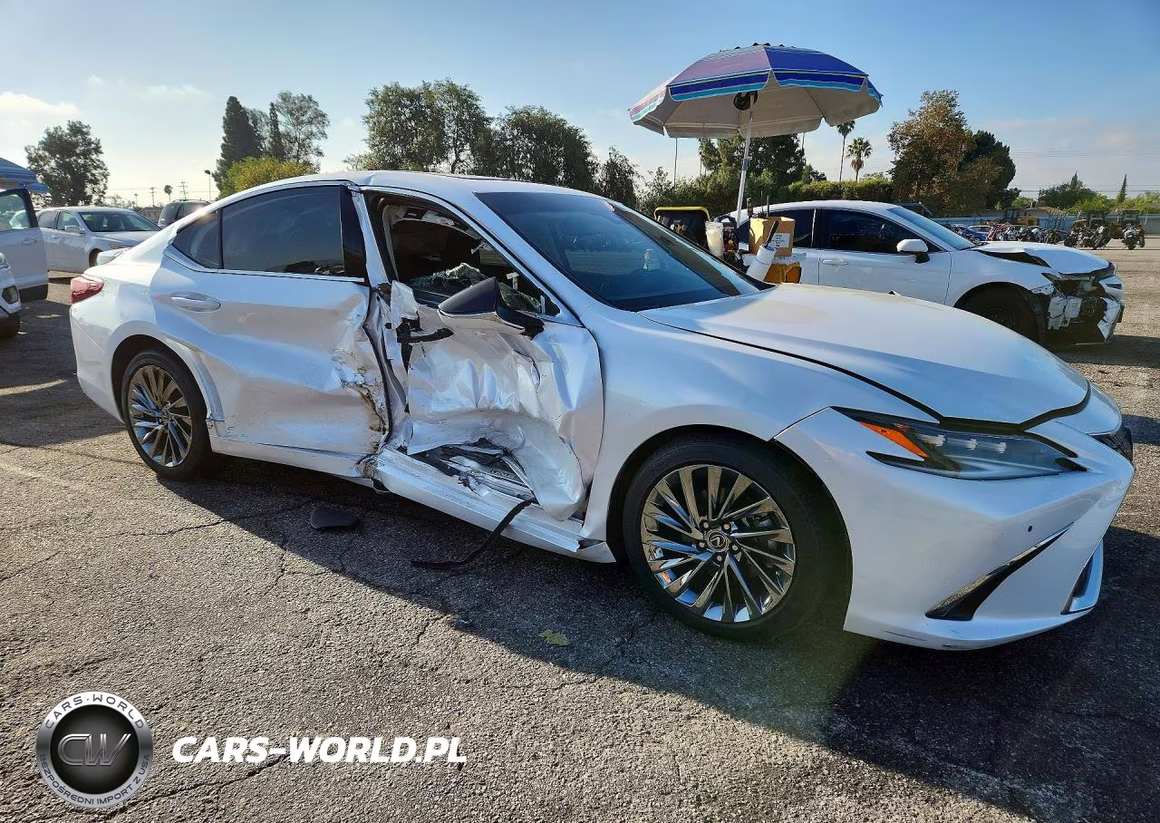 2025 Lexus Es 300H Luxury VIN:58AEA1C11SU054615 - 4