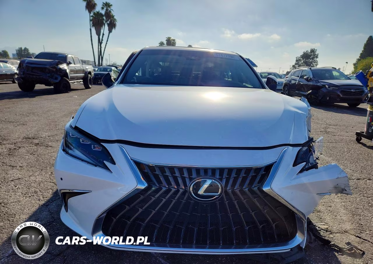 2025 Lexus Es 300H Luxury VIN:58AEA1C11SU054615 - 5