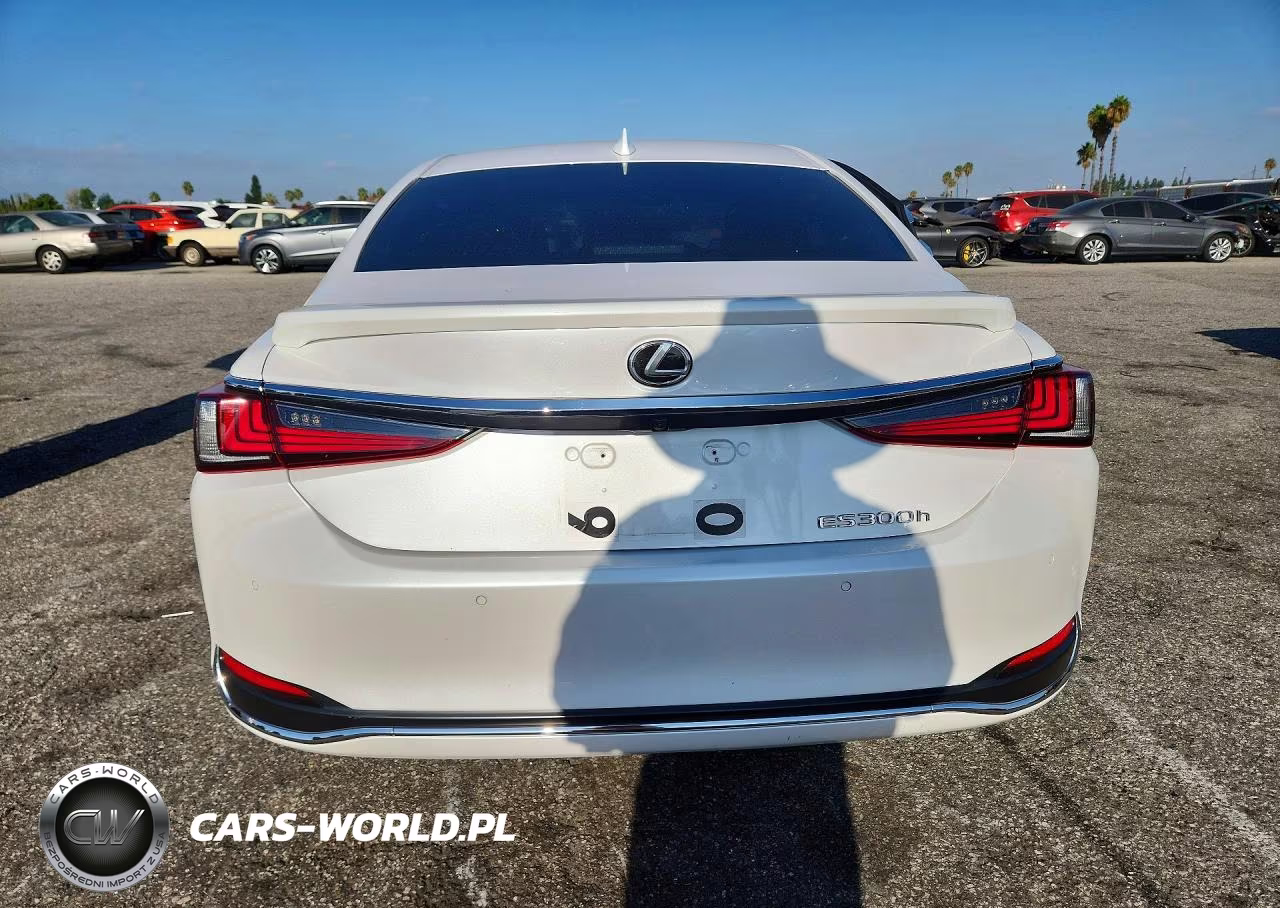 2025 Lexus Es 300H Luxury VIN:58AEA1C11SU054615 - 6