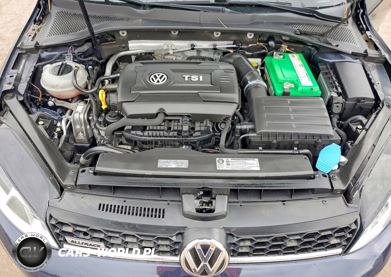 2017 Volkswagen Golf Alltrack S VIN:3VWH17AU3HM515428 - 11
