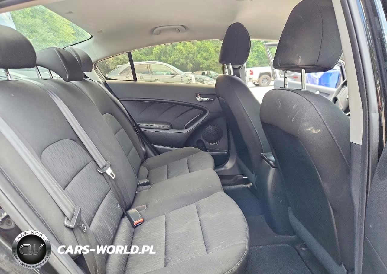 2016 Kia Forte Lx VIN:KNAFK4A65G5610310 - 10