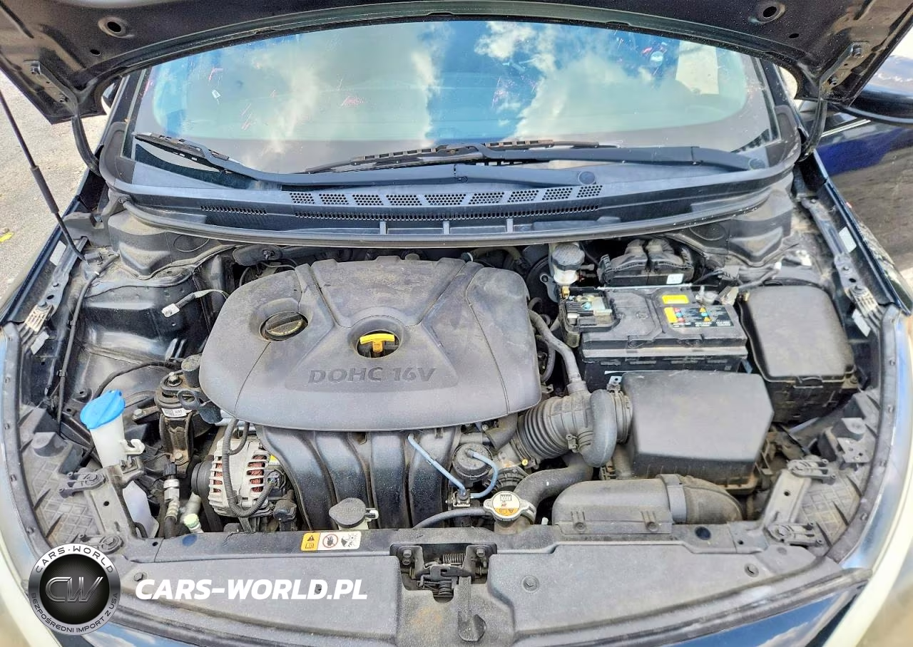2016 Kia Forte Lx VIN:KNAFK4A65G5610310 - 11