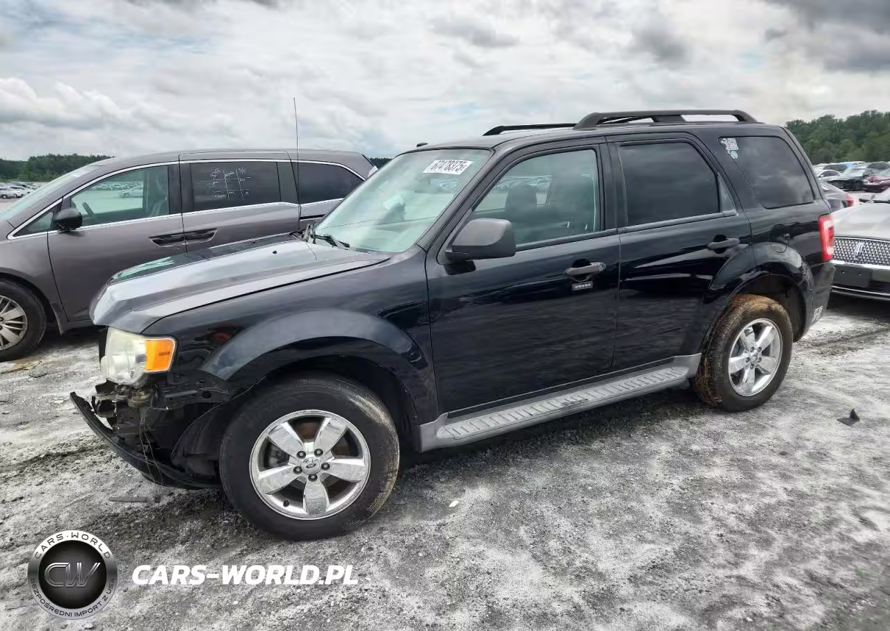 2010 Ford Escape Xlt