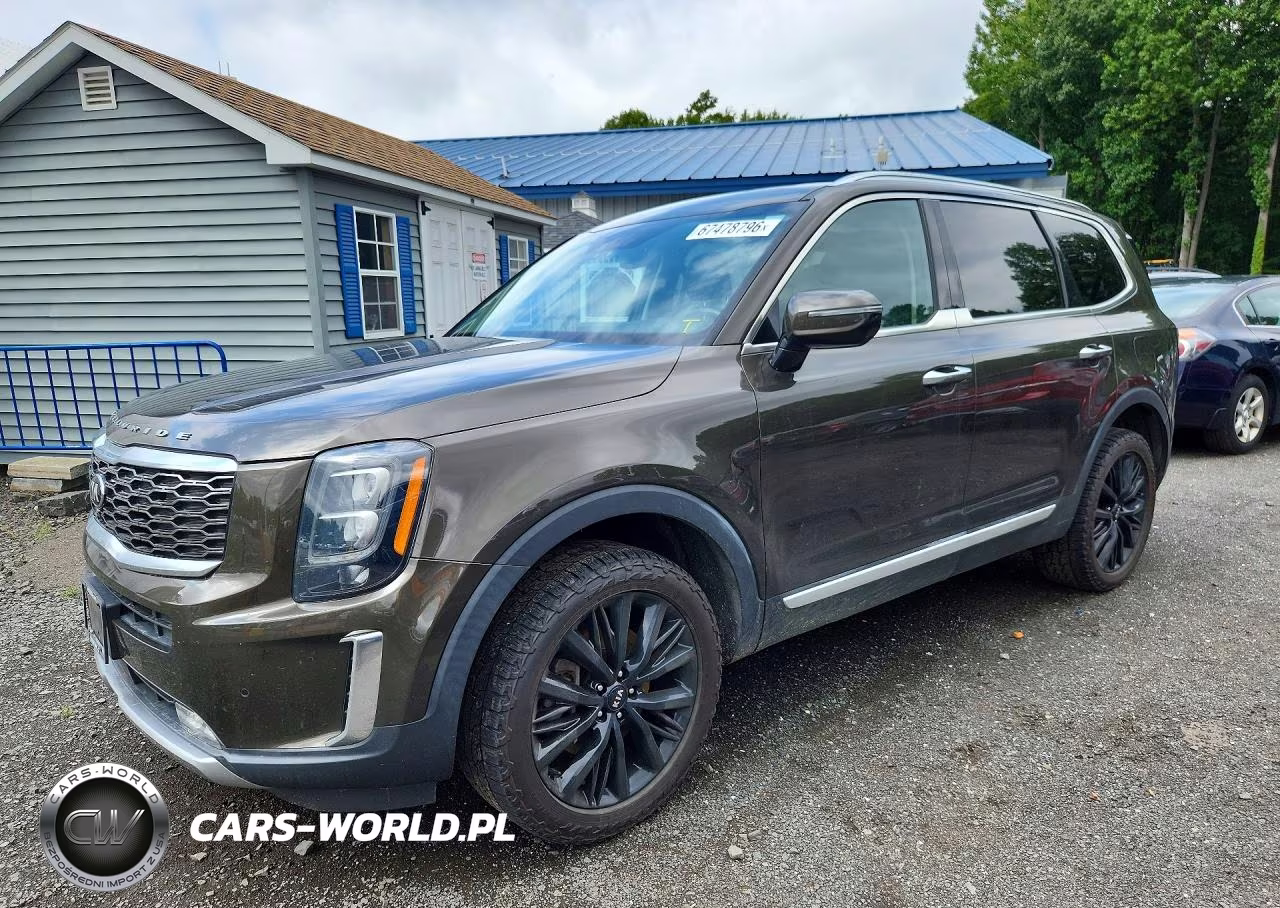 2021 Kia Telluride Sx VIN:5XYP5DHC8MG119890 - 1