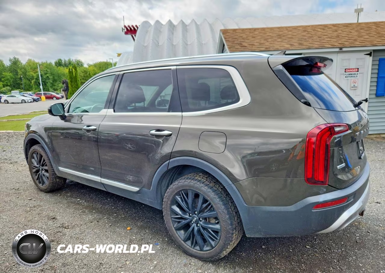 2021 Kia Telluride Sx VIN:5XYP5DHC8MG119890 - 2