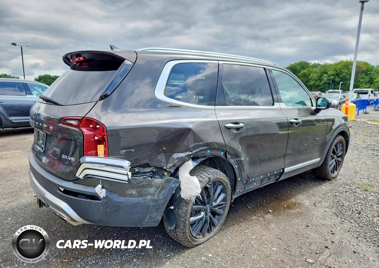 2021 Kia Telluride Sx VIN:5XYP5DHC8MG119890 - 3