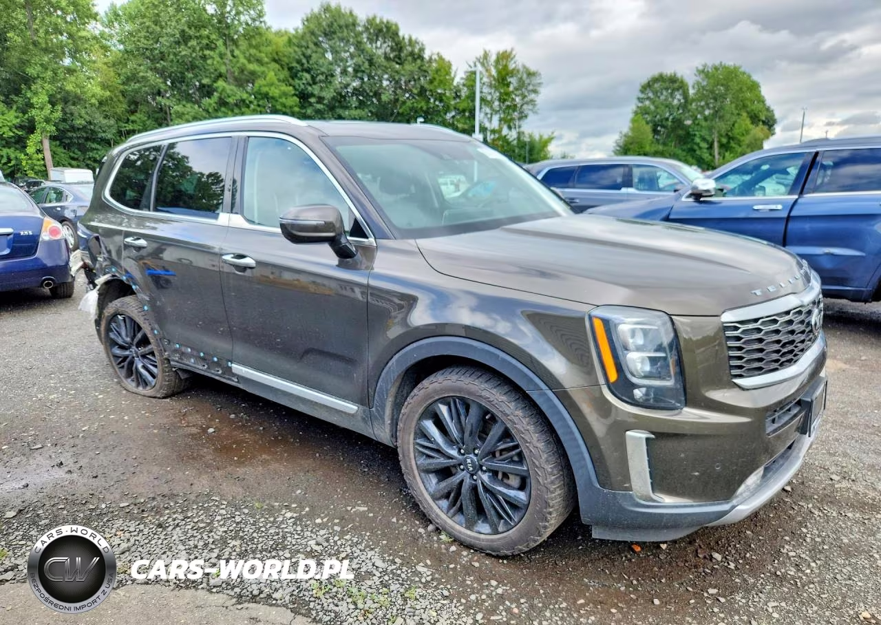 2021 Kia Telluride Sx VIN:5XYP5DHC8MG119890 - 4
