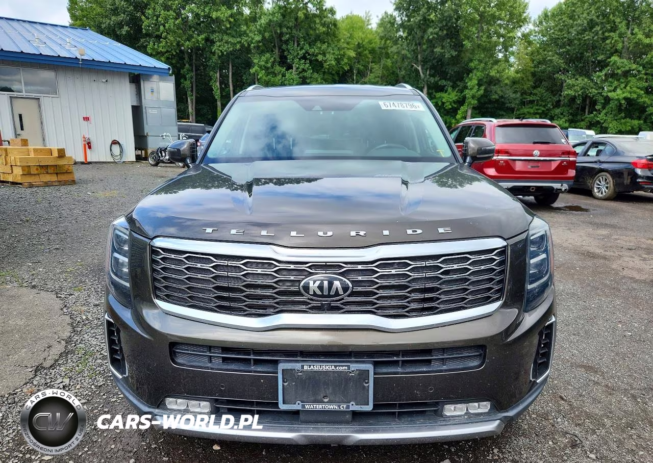 2021 Kia Telluride Sx VIN:5XYP5DHC8MG119890 - 5
