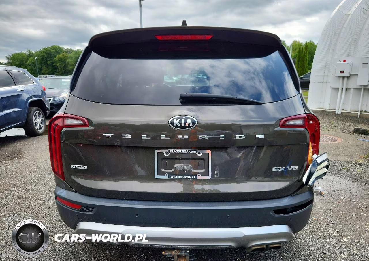 2021 Kia Telluride Sx VIN:5XYP5DHC8MG119890 - 6