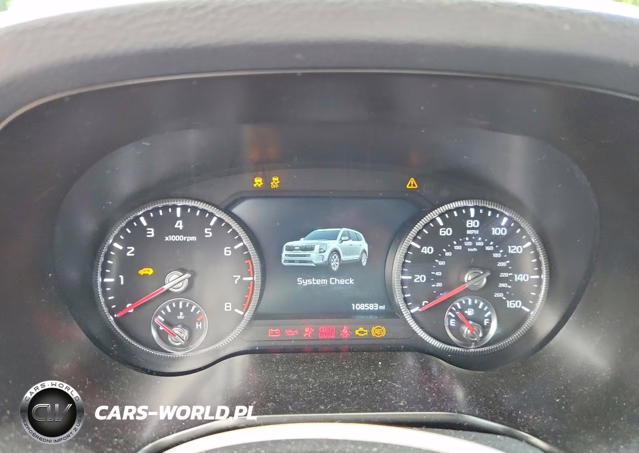 2021 Kia Telluride Sx VIN:5XYP5DHC8MG119890 - 9