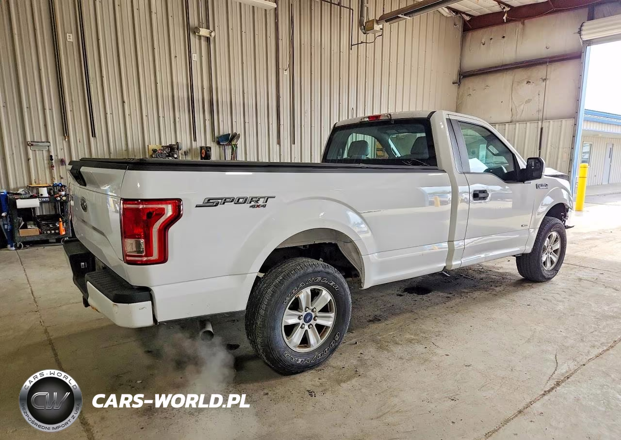 2017 Ford F150 VIN:1FTMF1EP5HKE03242 - 3
