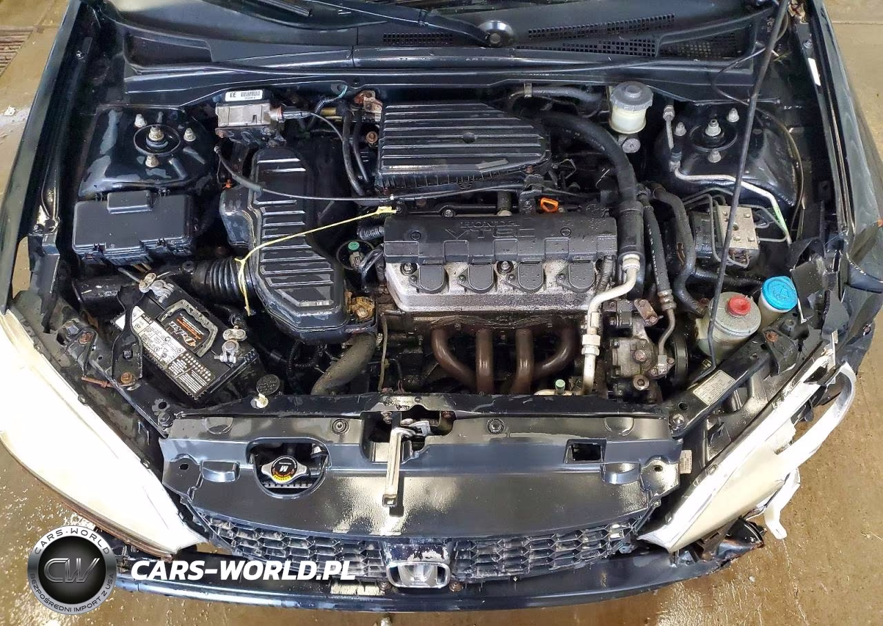 2004 Honda Civic Ex VIN:1HGEM229X4L059547 - 11