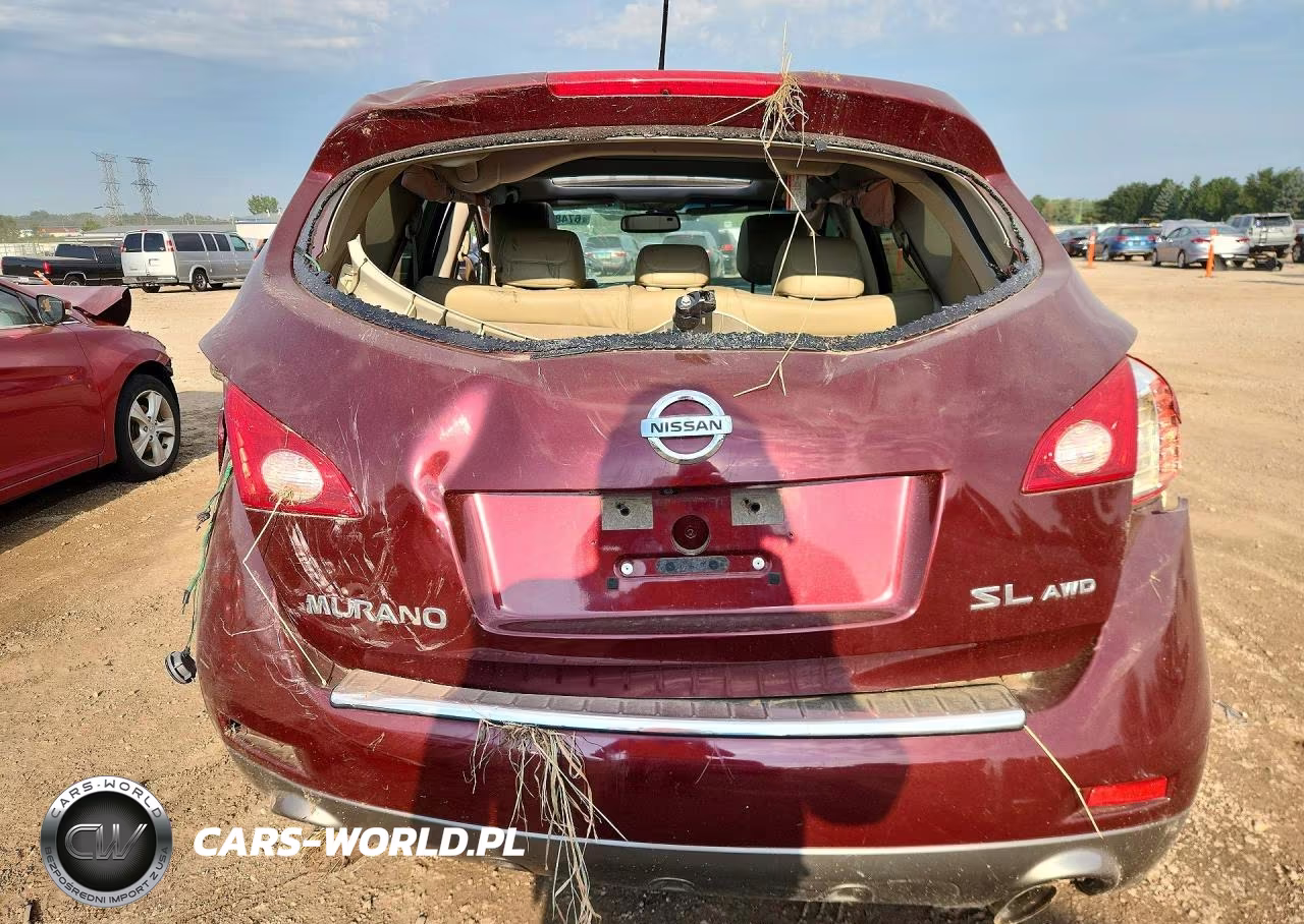 2010 Nissan Murano S VIN:JN8AZ1MW3AW109800 - 6