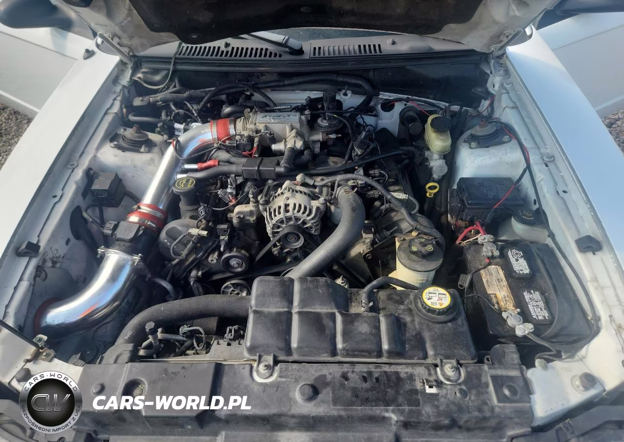 2003 Ford Mustang Gt VIN:1FAFP45X73F354530 - 11