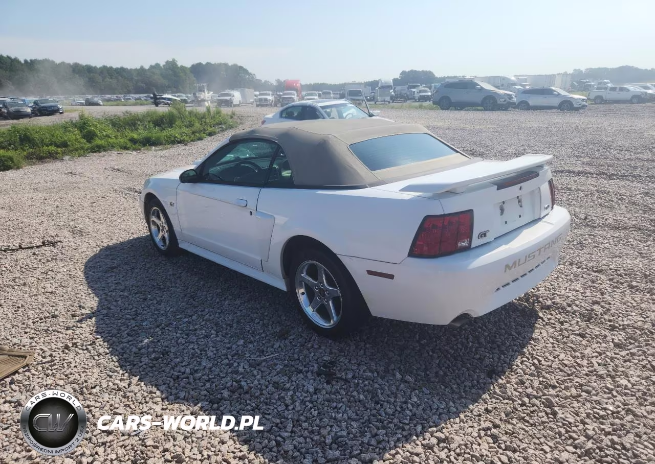 2003 Ford Mustang Gt VIN:1FAFP45X73F354530 - 2