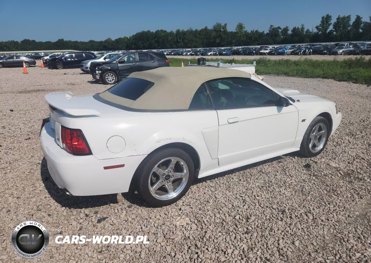 2003 Ford Mustang Gt VIN:1FAFP45X73F354530 - 3