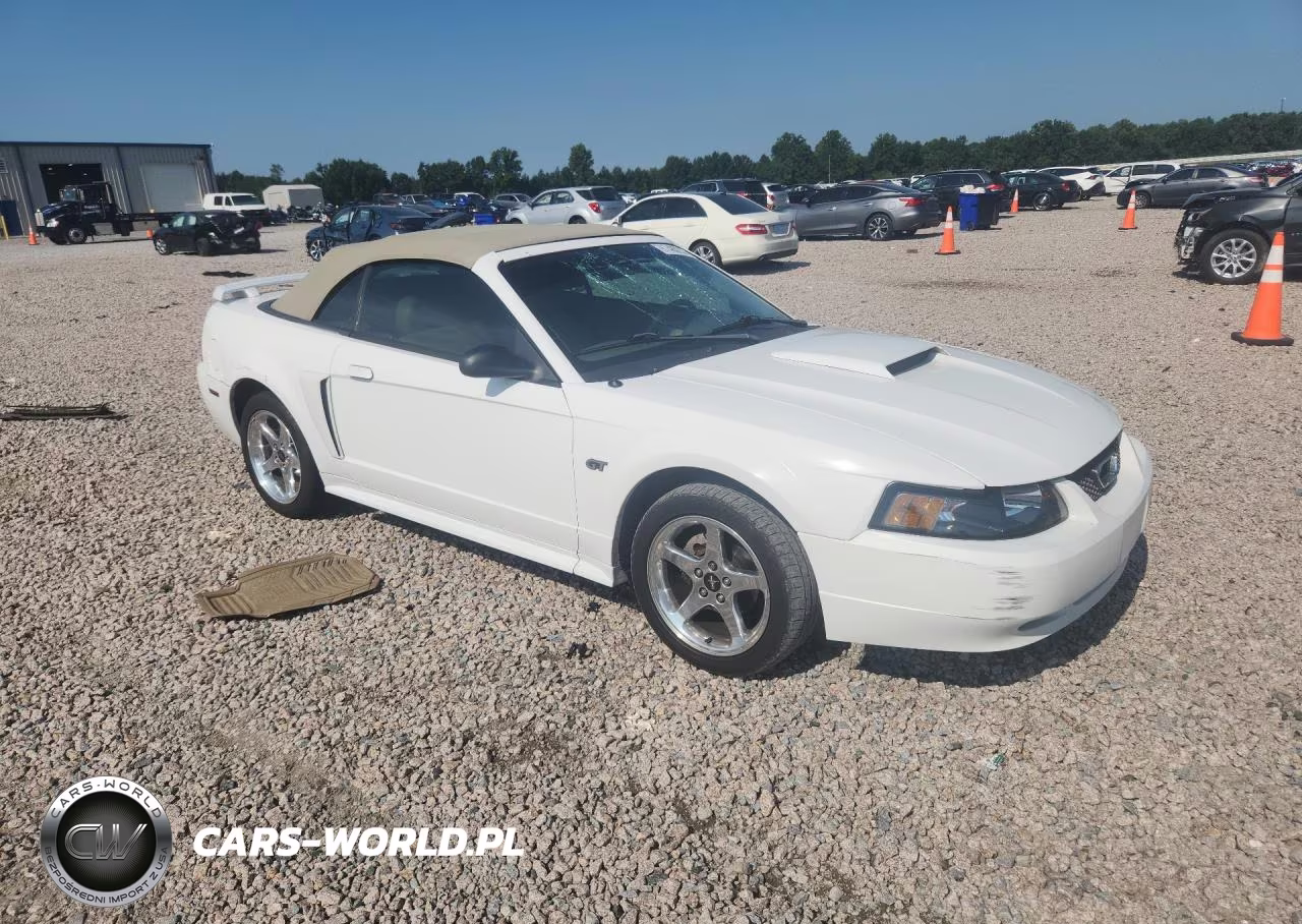 2003 Ford Mustang Gt VIN:1FAFP45X73F354530 - 4