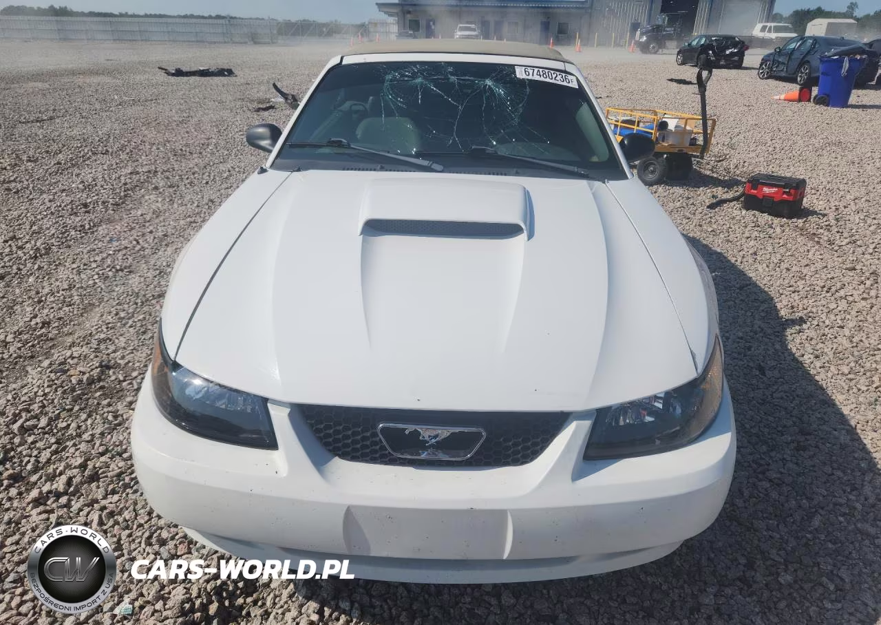 2003 Ford Mustang Gt VIN:1FAFP45X73F354530 - 5
