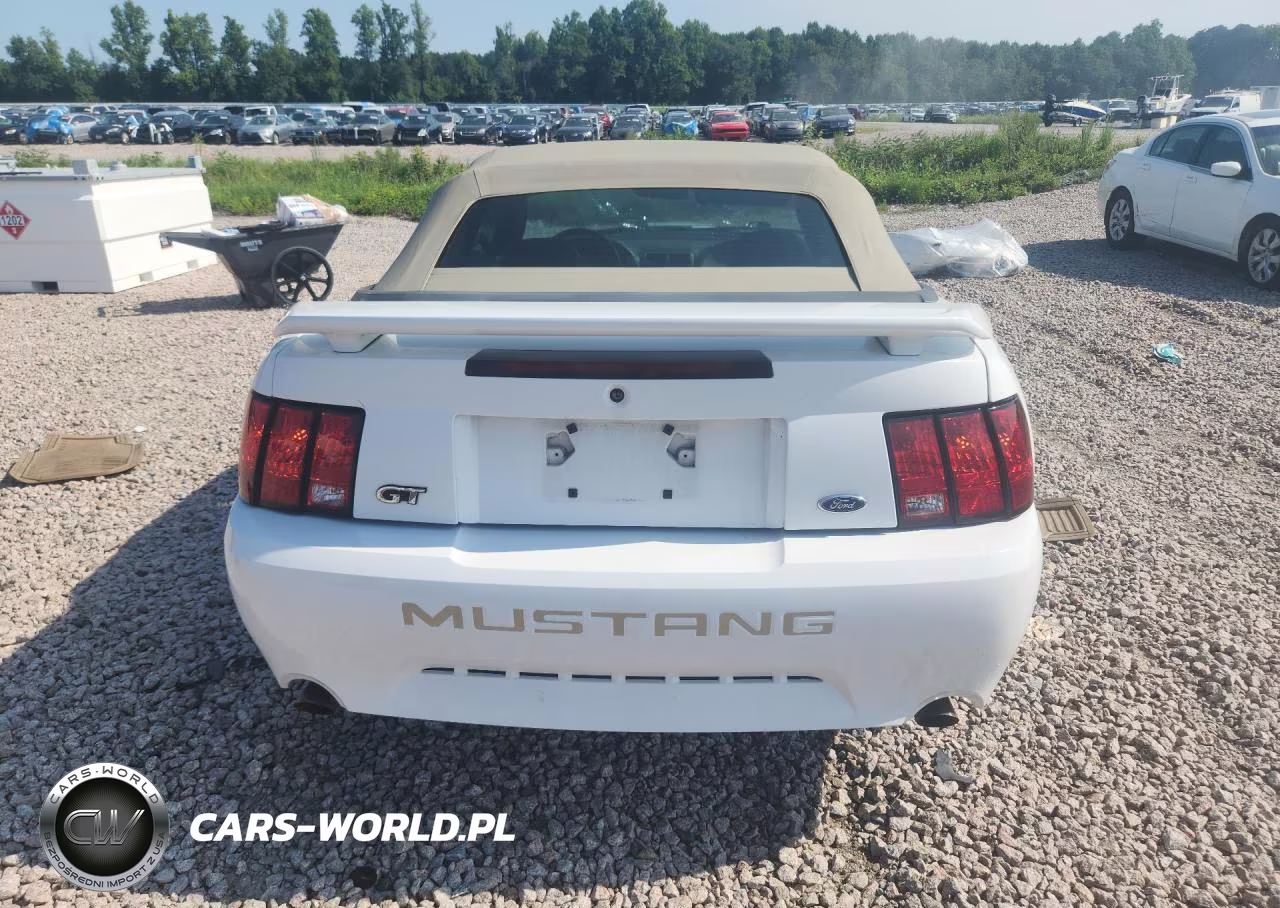 2003 Ford Mustang Gt VIN:1FAFP45X73F354530 - 6
