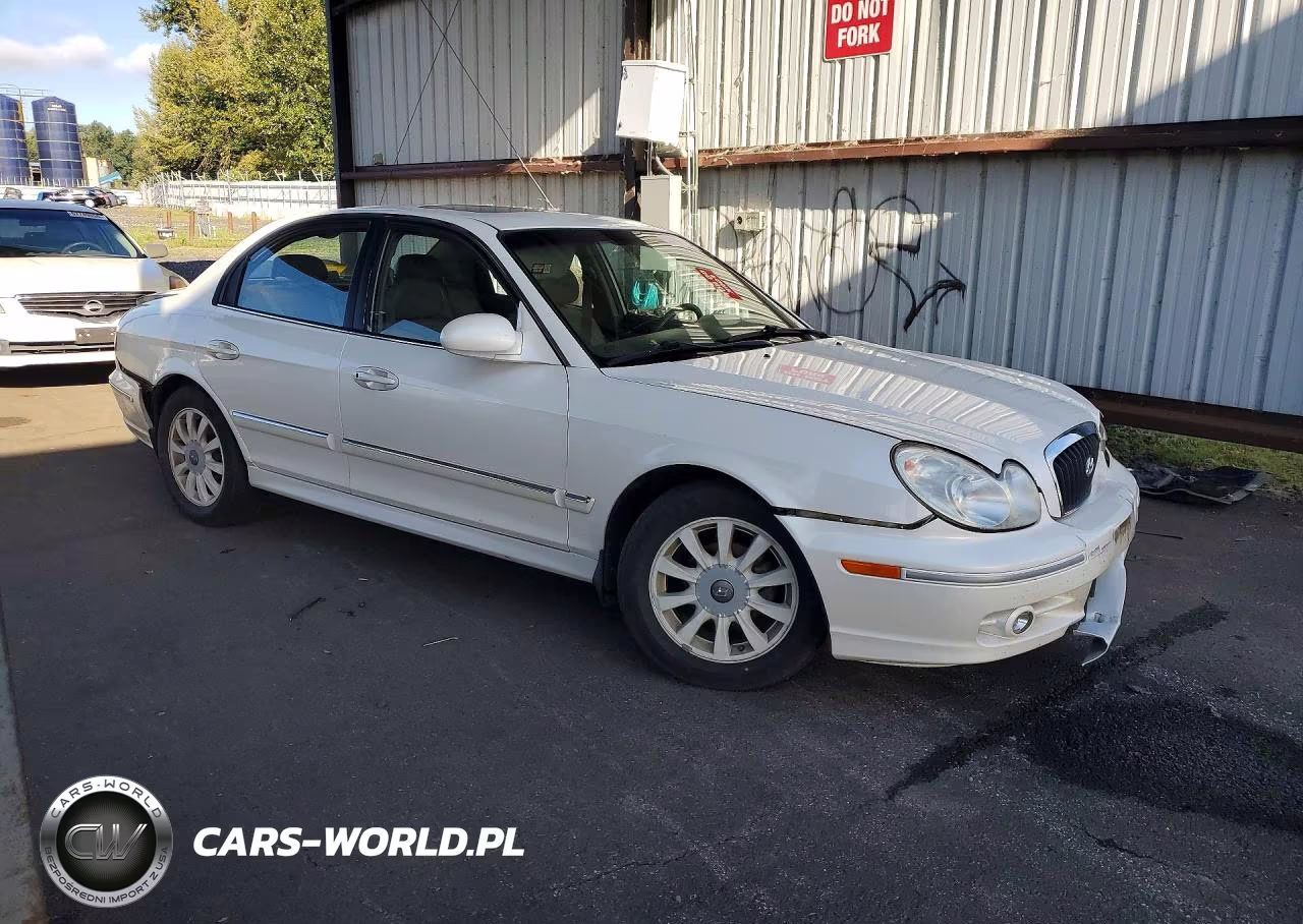 2002 Hyundai Sonata Gls VIN:KMHWF35H52A713588 - 4