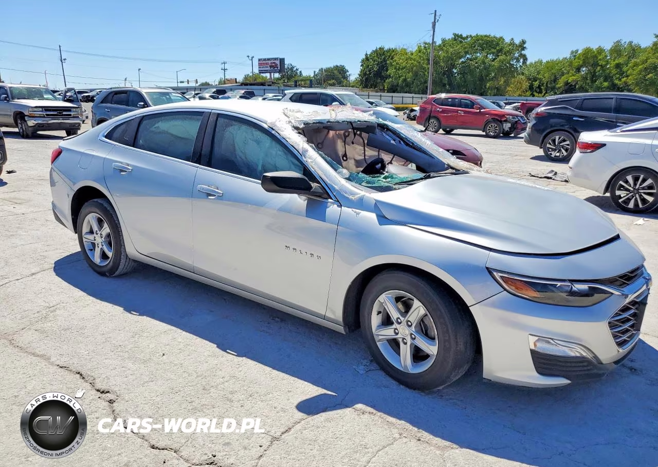 2019 Chevrolet Malibu Ls VIN:1G1ZC5STXKF208687 - 4