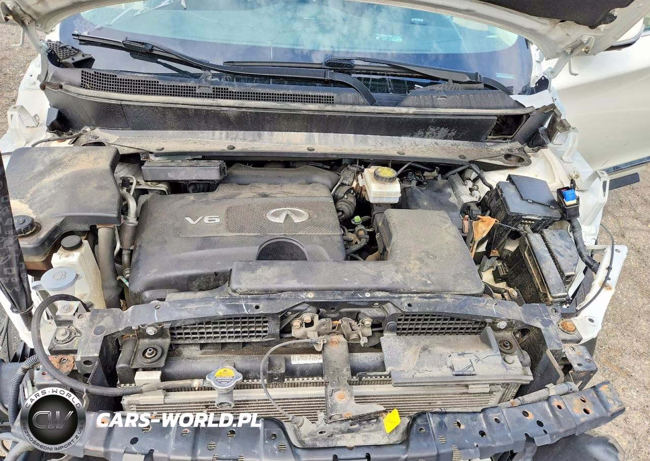2019 Infiniti Qx60 Pure VIN:5N1DL0MM5KC502182 - 12