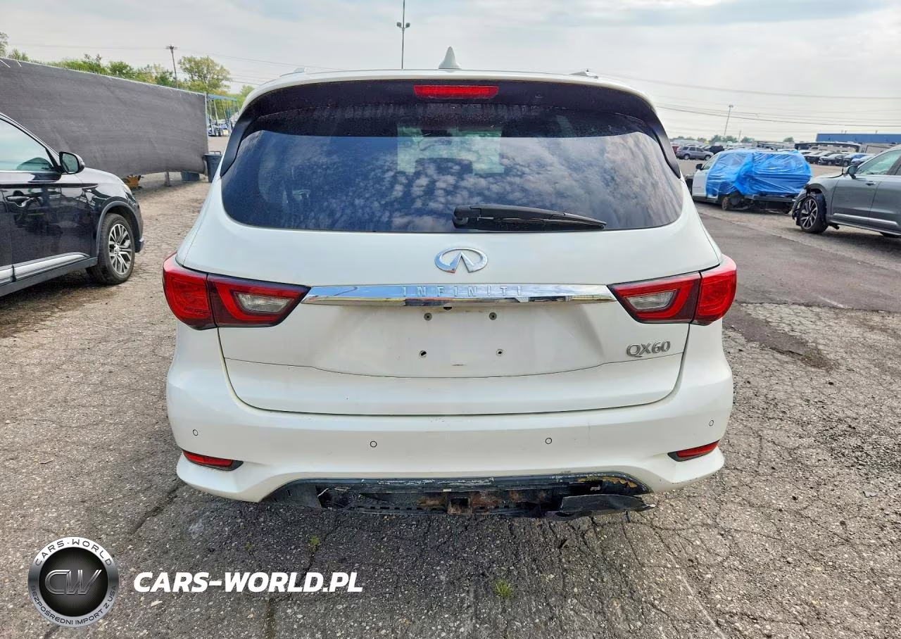 2019 Infiniti Qx60 Pure VIN:5N1DL0MM5KC502182 - 6