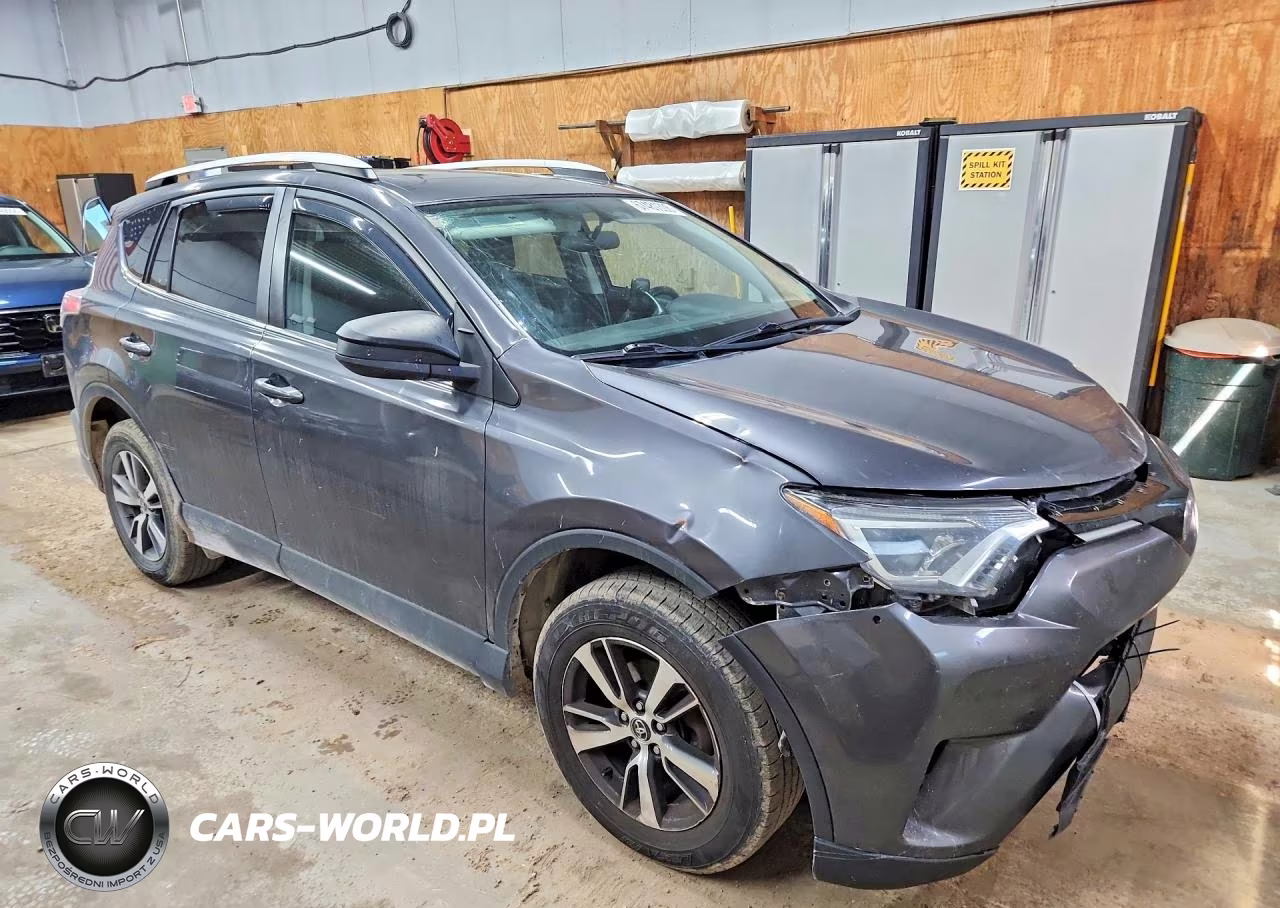 2016 Toyota Rav4 Xle VIN:2T3RFREV6GW437764 - 4