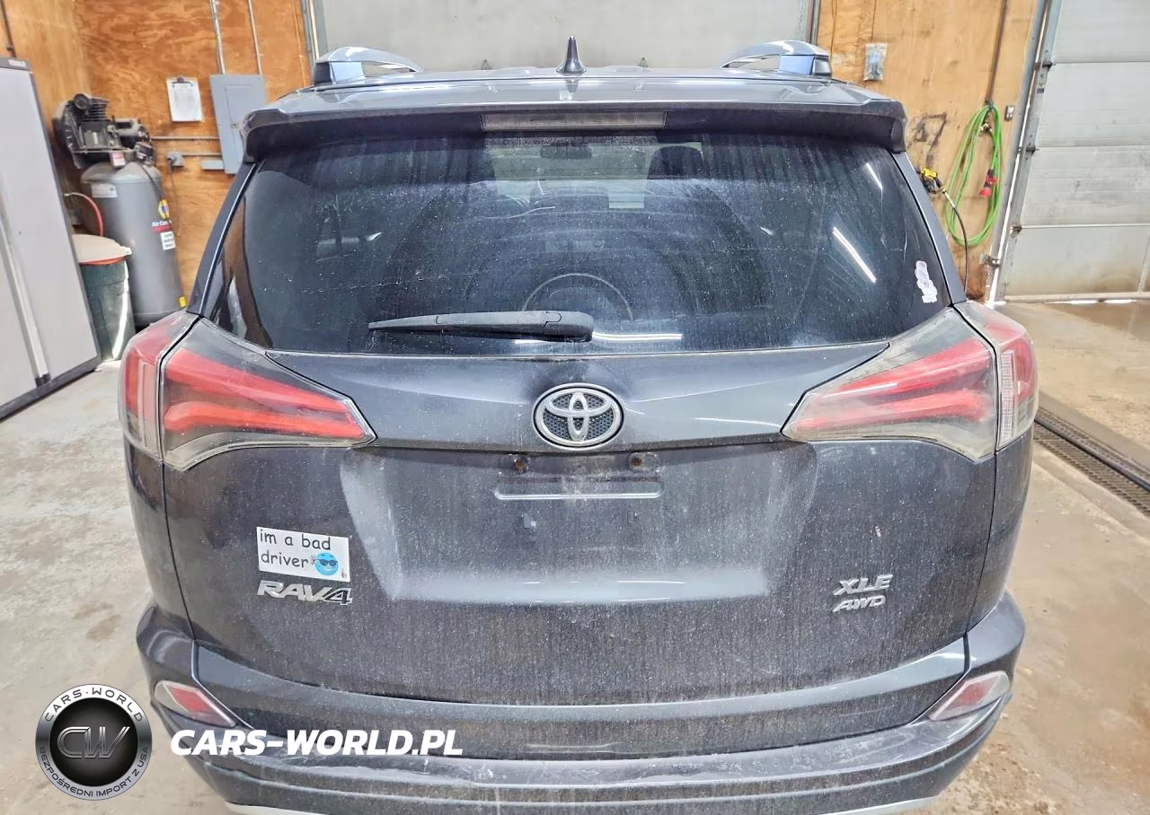 2016 Toyota Rav4 Xle VIN:2T3RFREV6GW437764 - 6