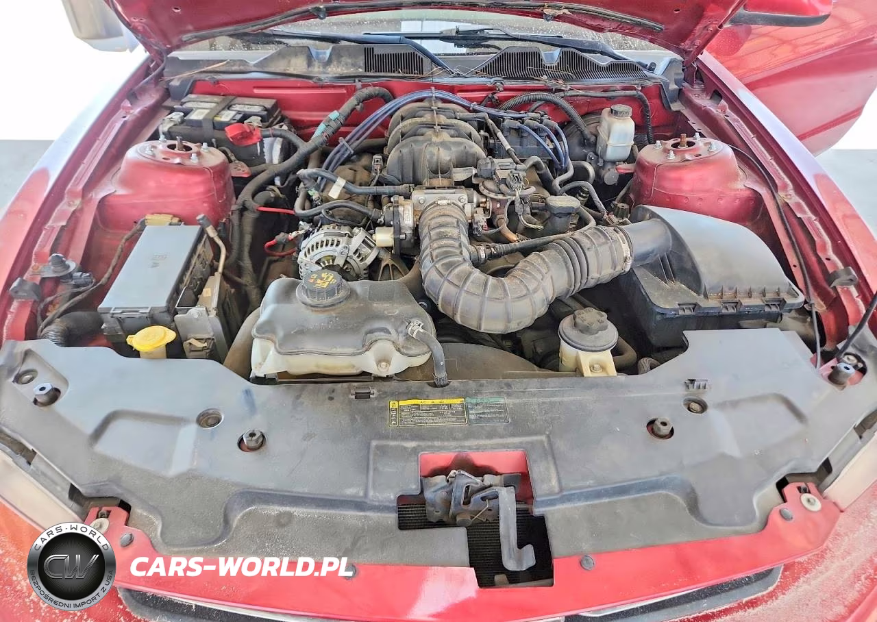 2010 Ford Mustang VIN:1ZVBP8EN6A5150834 - 11
