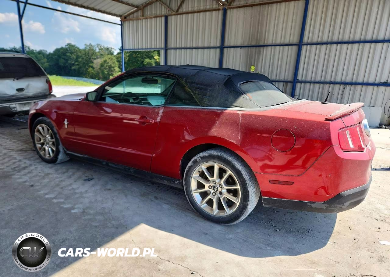 2010 Ford Mustang VIN:1ZVBP8EN6A5150834 - 2