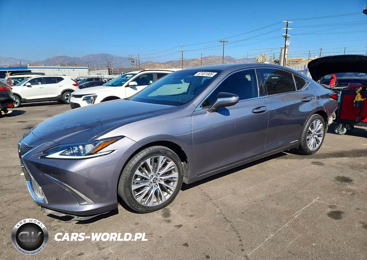 2020 Lexus Es 300H VIN:58AD21B17LU010226 - 1