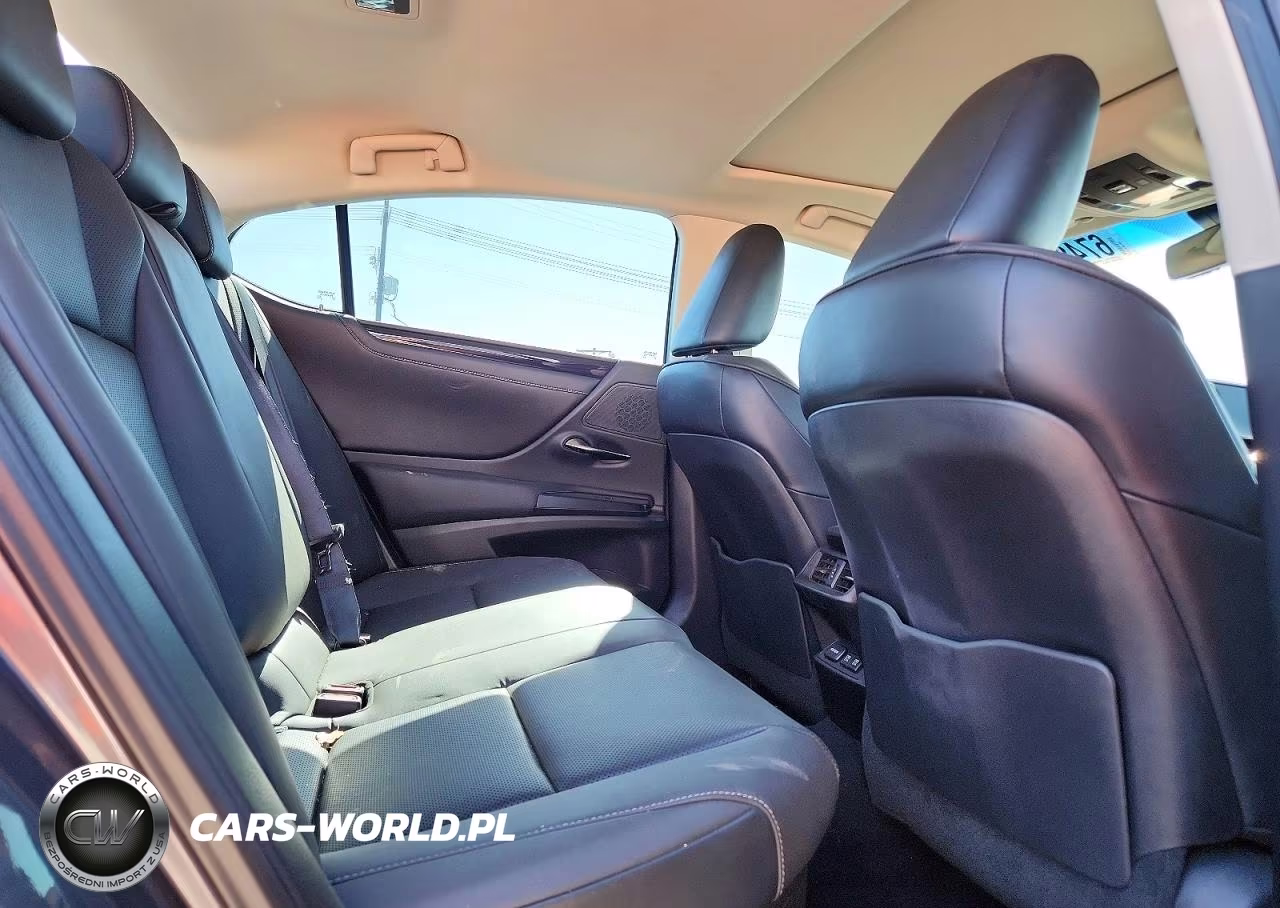 2020 Lexus Es 300H VIN:58AD21B17LU010226 - 10