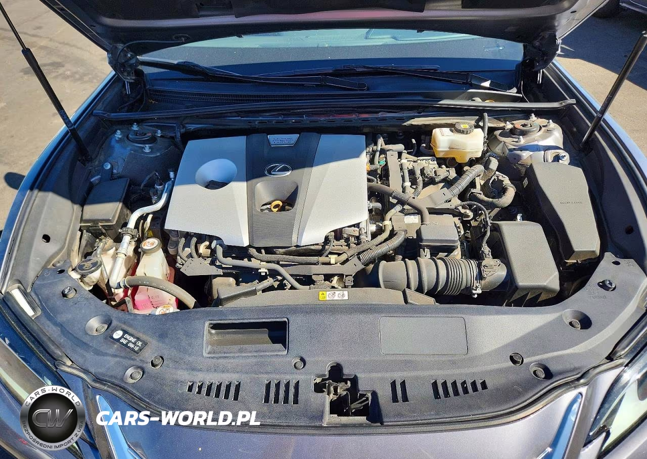 2020 Lexus Es 300H VIN:58AD21B17LU010226 - 11