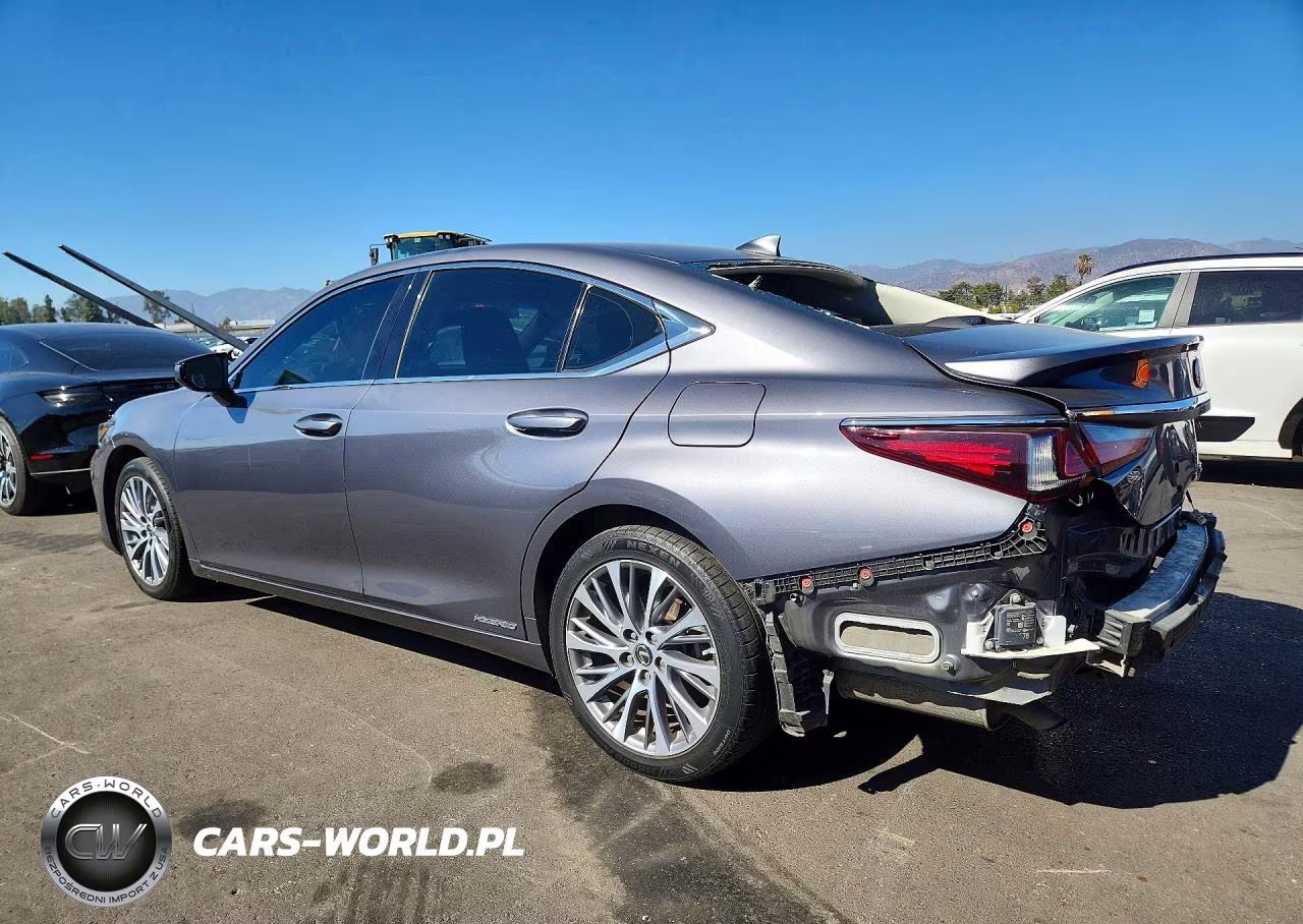 2020 Lexus Es 300H VIN:58AD21B17LU010226 - 2