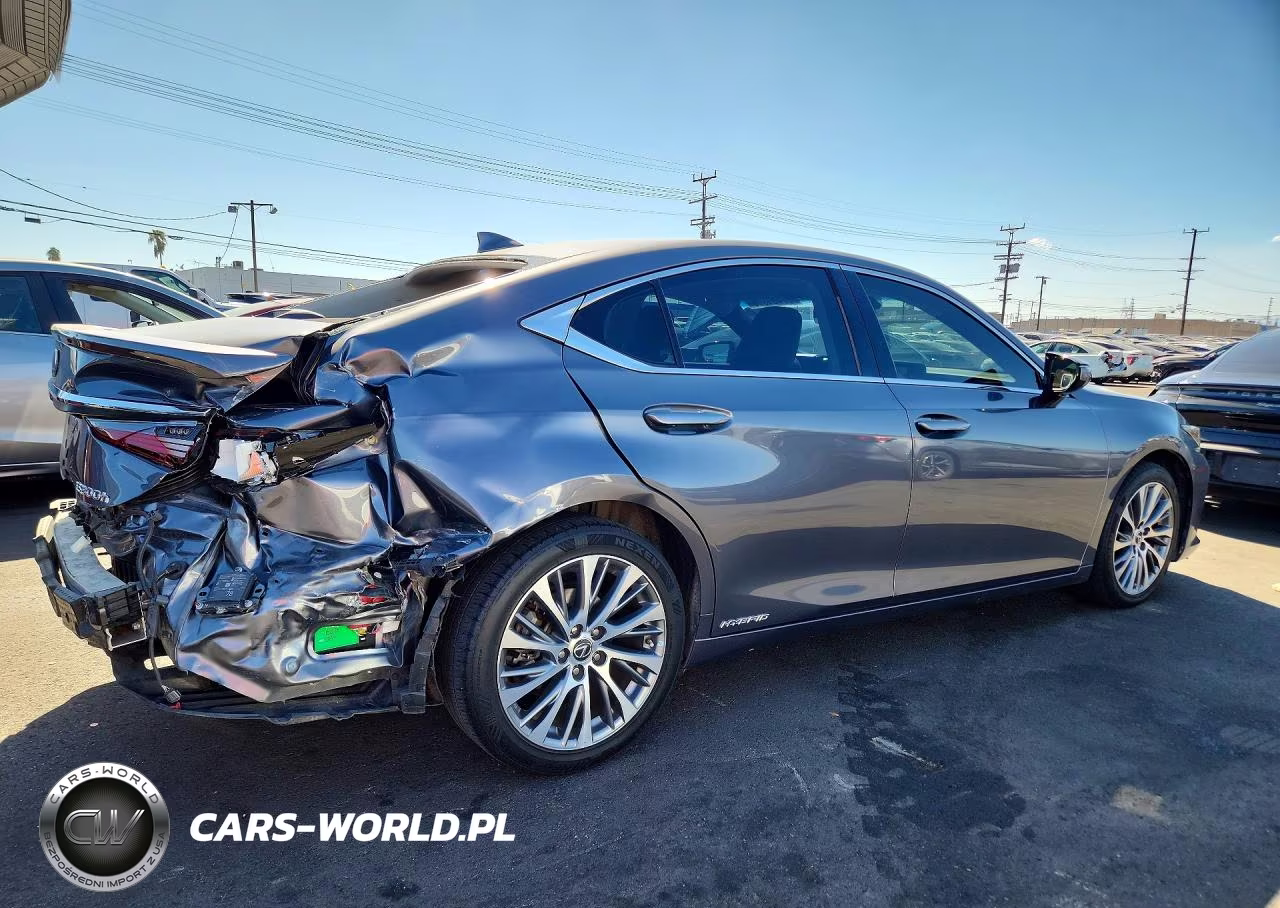 2020 Lexus Es 300H VIN:58AD21B17LU010226 - 3