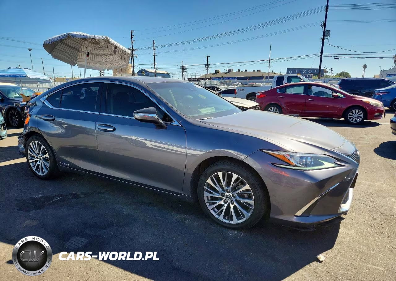 2020 Lexus Es 300H VIN:58AD21B17LU010226 - 4