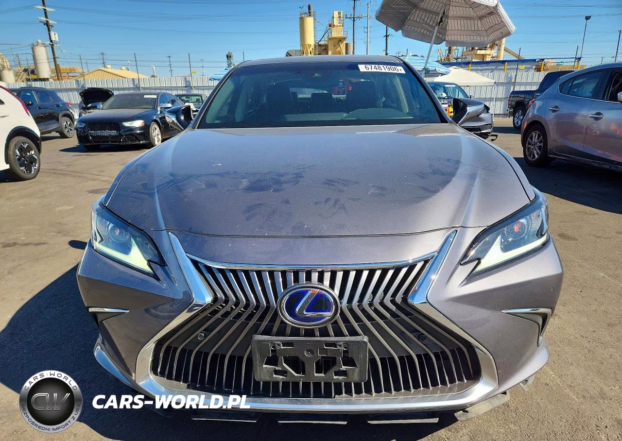 2020 Lexus Es 300H VIN:58AD21B17LU010226 - 5