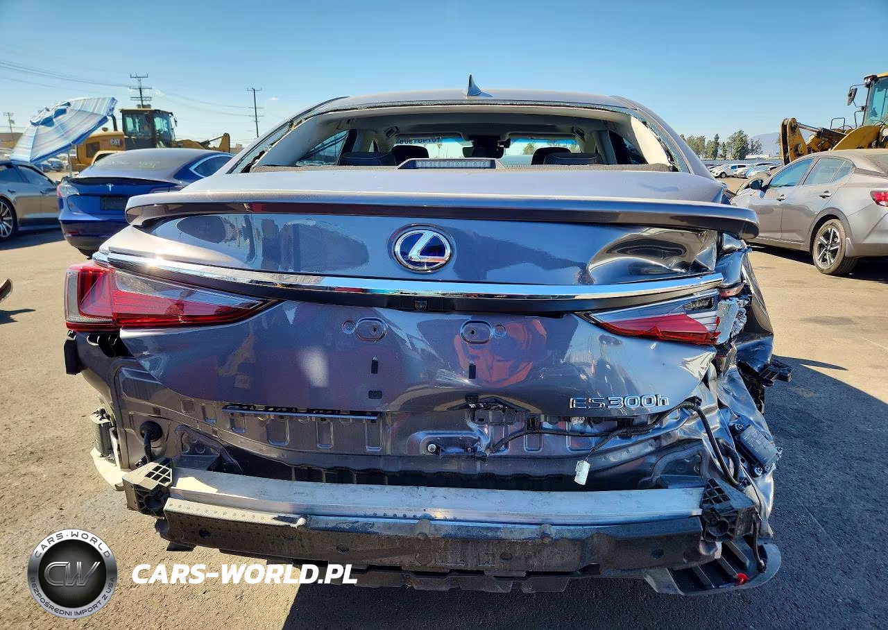 2020 Lexus Es 300H VIN:58AD21B17LU010226 - 6