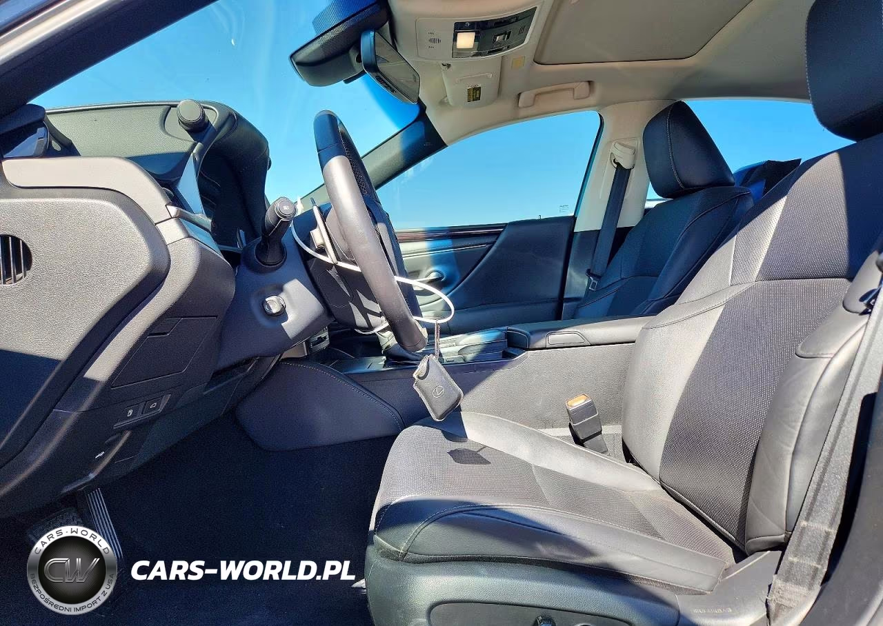 2020 Lexus Es 300H VIN:58AD21B17LU010226 - 7