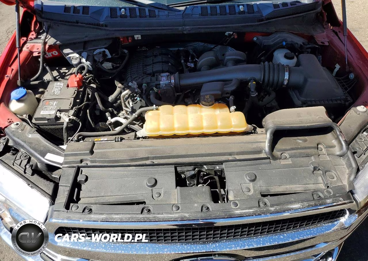 2020 Ford F150 VIN:1FTMF1EBXLKF20831 - 11
