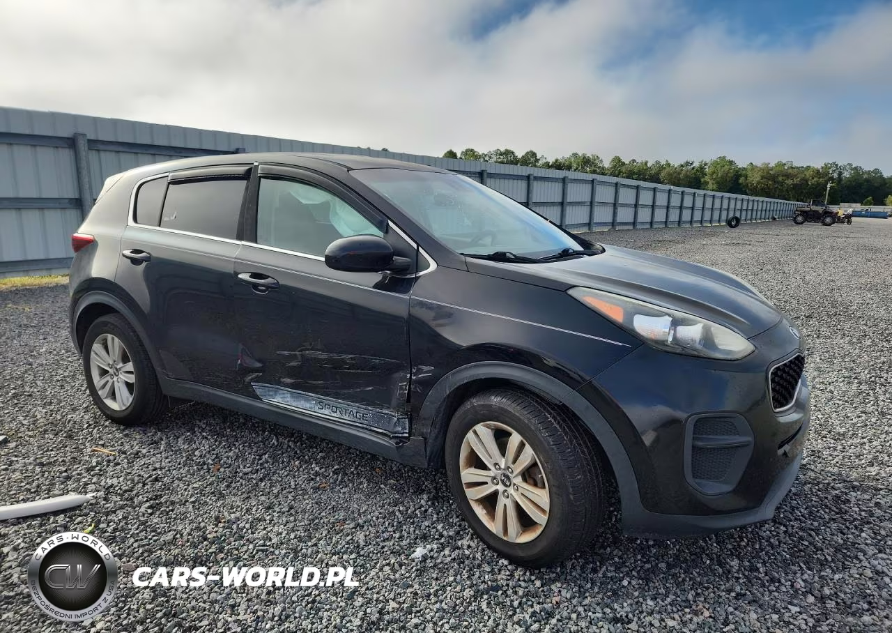2017 Kia Sportage Lx VIN:KNDPM3AC8H7210569 - 4