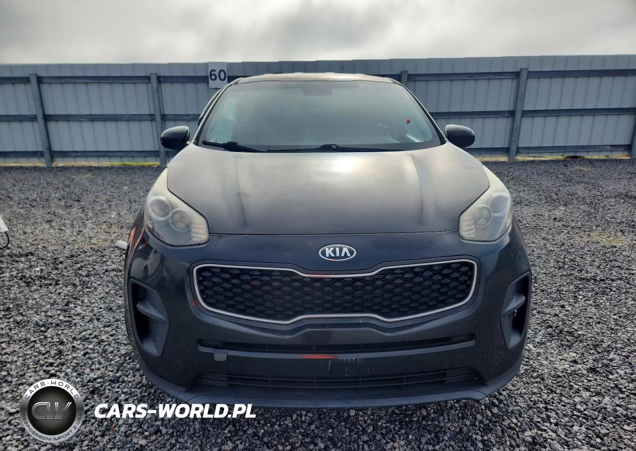 2017 Kia Sportage Lx VIN:KNDPM3AC8H7210569 - 5