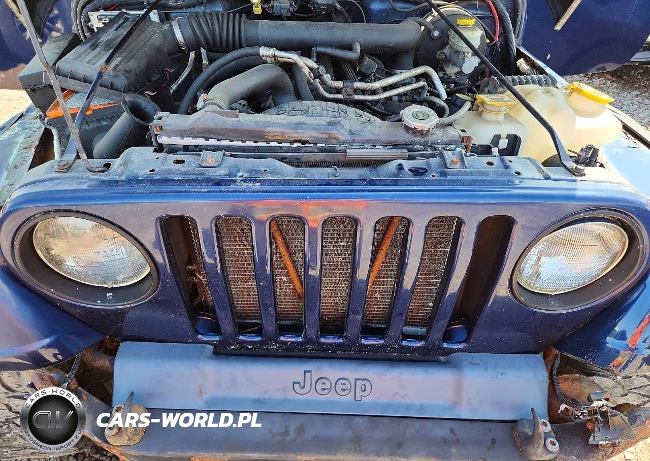 2004 Jeep Wrangler - Tj Sport VIN:1J4FA49S94P794880 - 12
