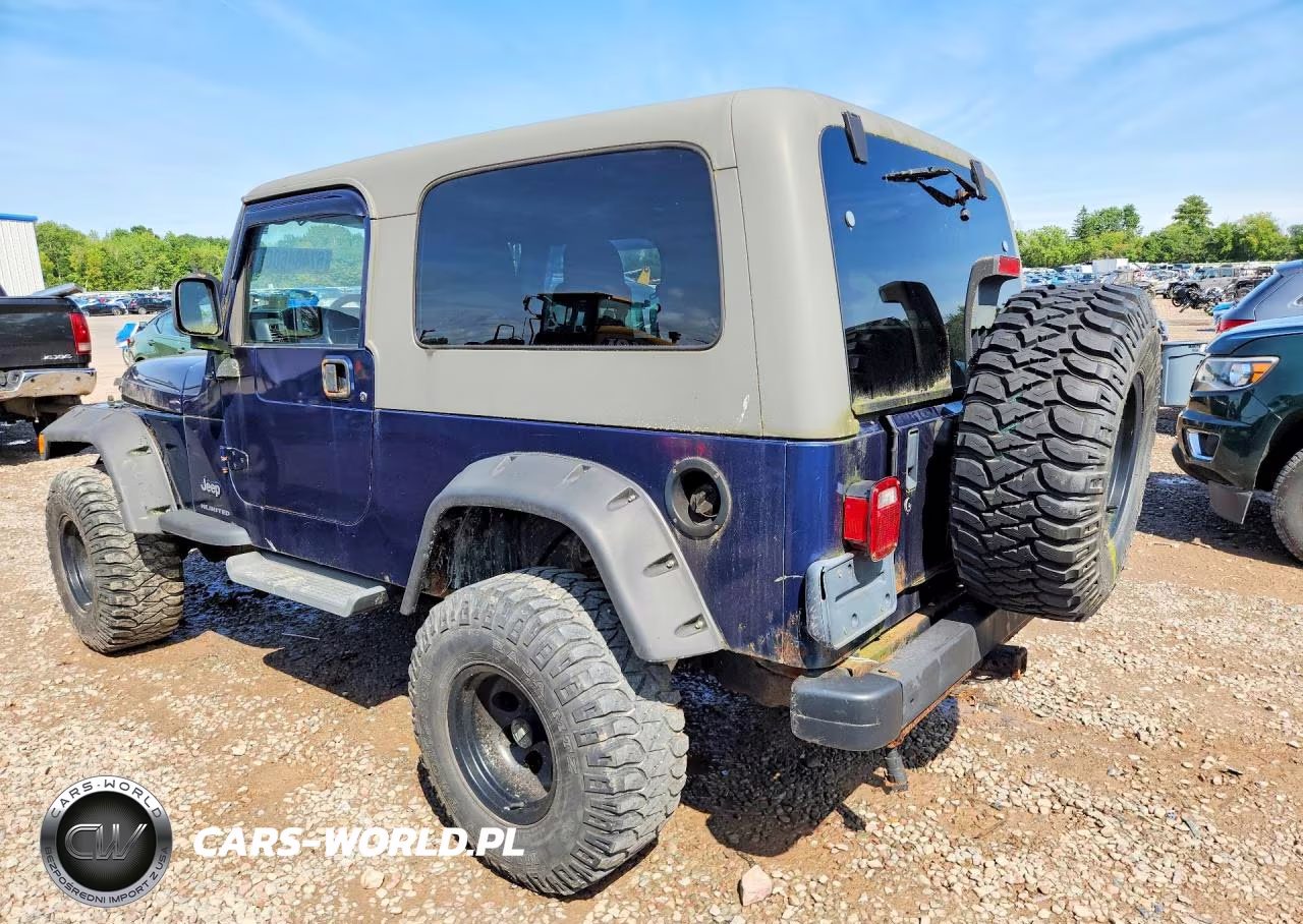 2004 Jeep Wrangler - Tj Sport VIN:1J4FA49S94P794880 - 2