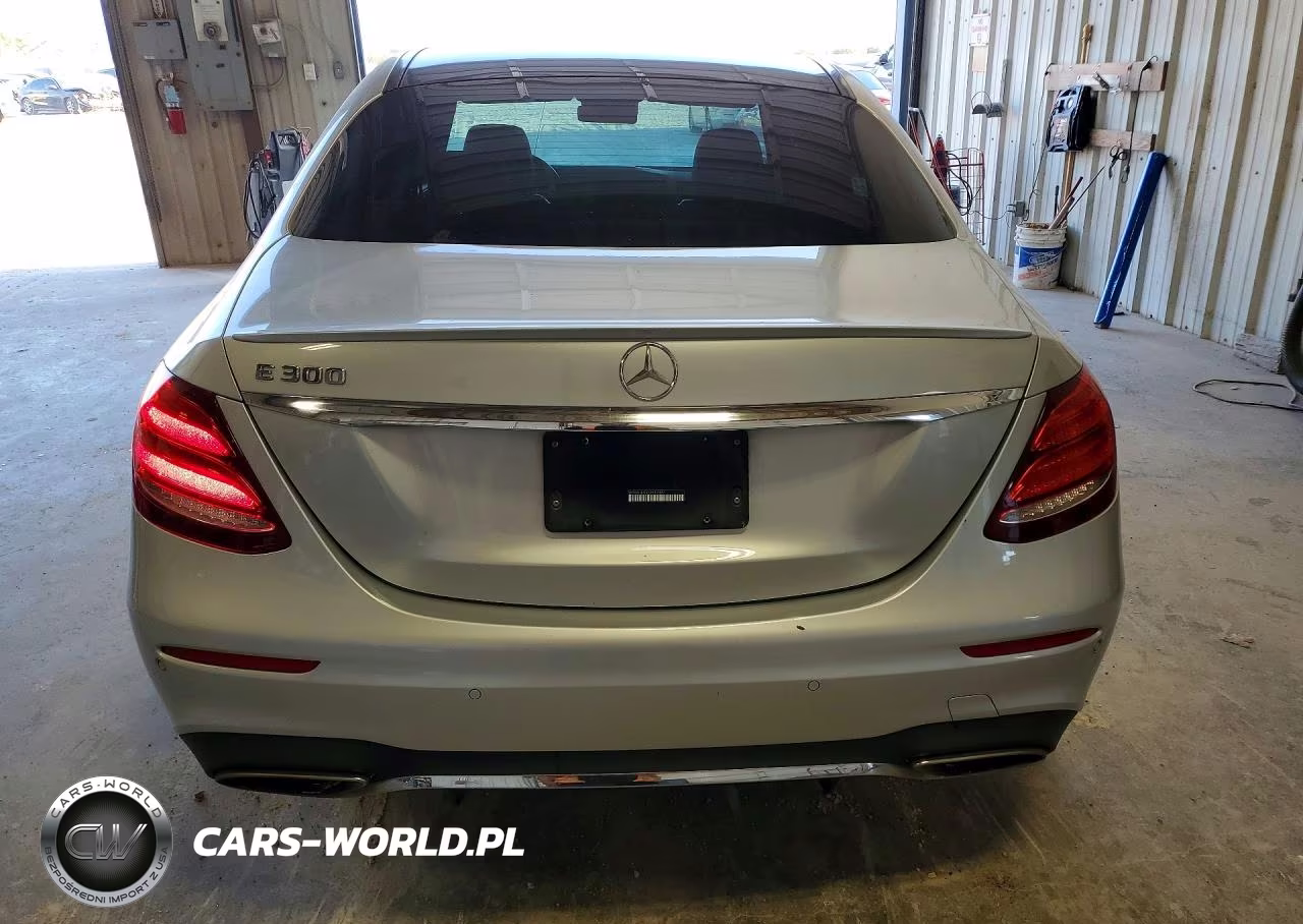 2019 Mercedes-Benz E 300 VIN:WDDZF4JB9KA612097 - 6