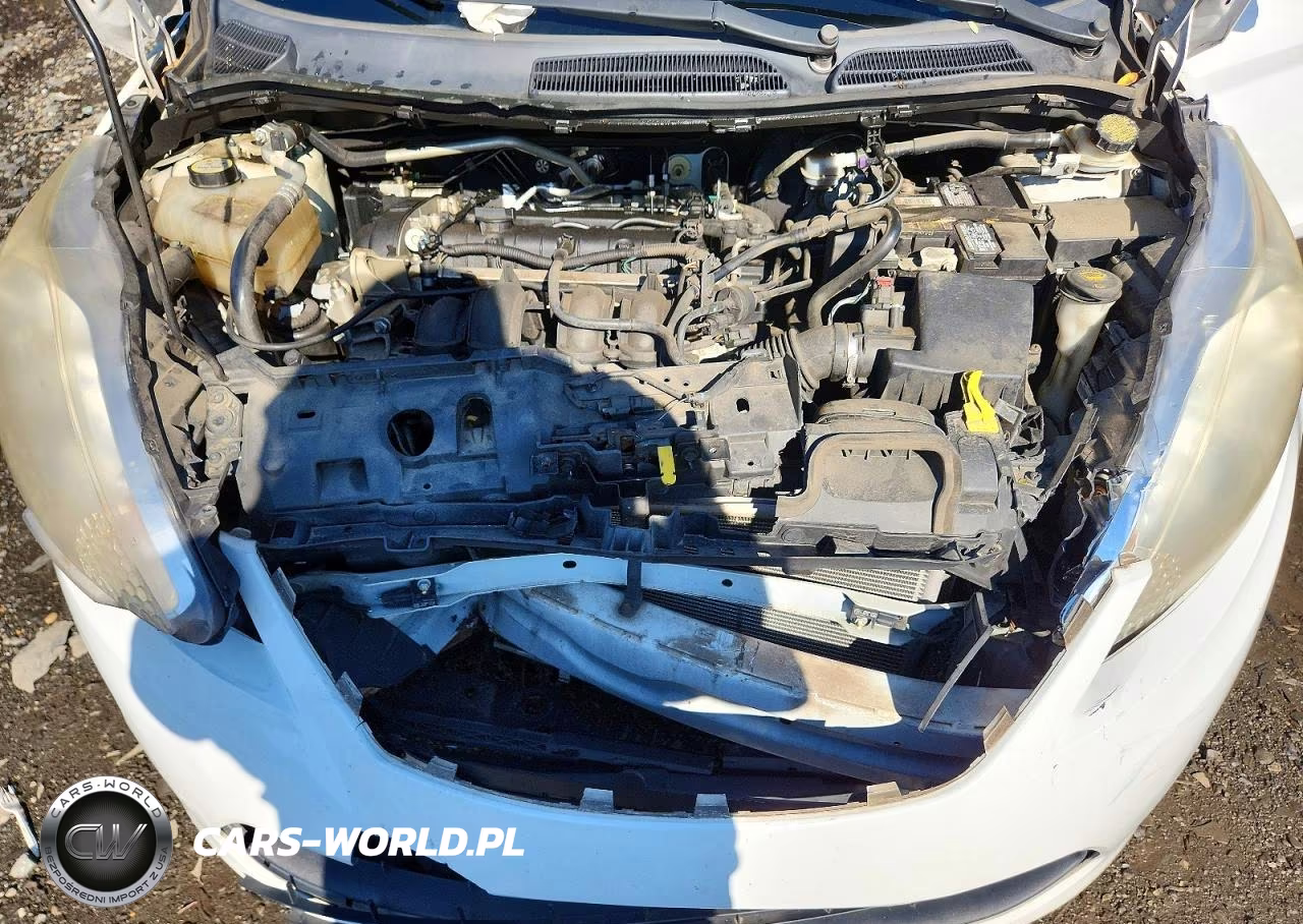 2013 Ford Fiesta Se VIN:3FADP4BJ2DM140618 - 11