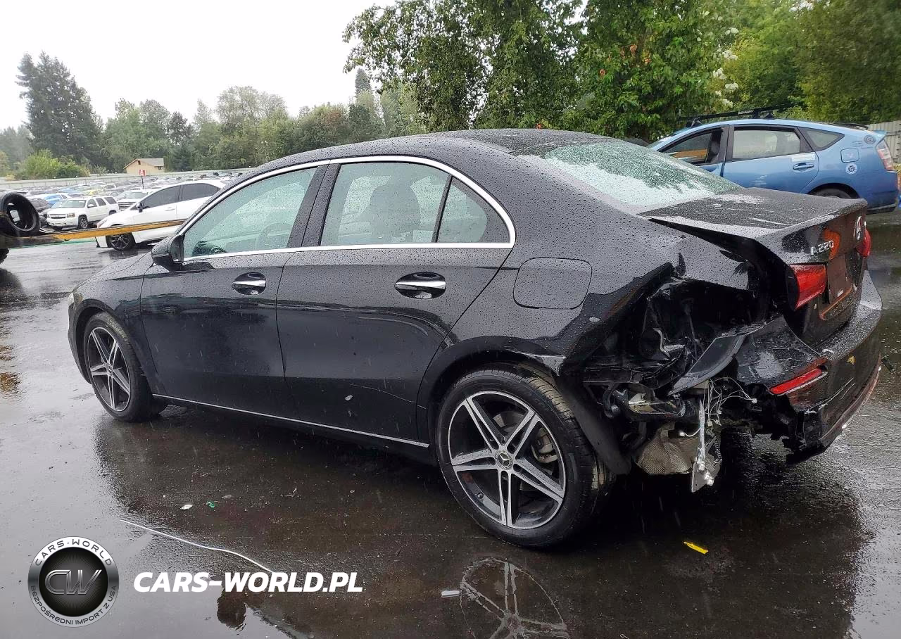 2019 Mercedes-Benz A 220 4Matic VIN:WDD3G4FBXKW035417 - 2