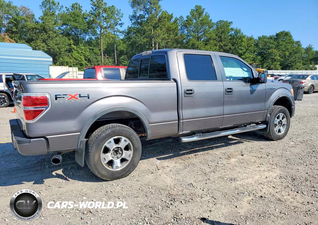 2010 Ford F-150 Fx4-Harley-Davidson-King Ranch-Lariat-Platinum-Xl-Xlt VIN:1FTFW1EV8AFA44930 - 3