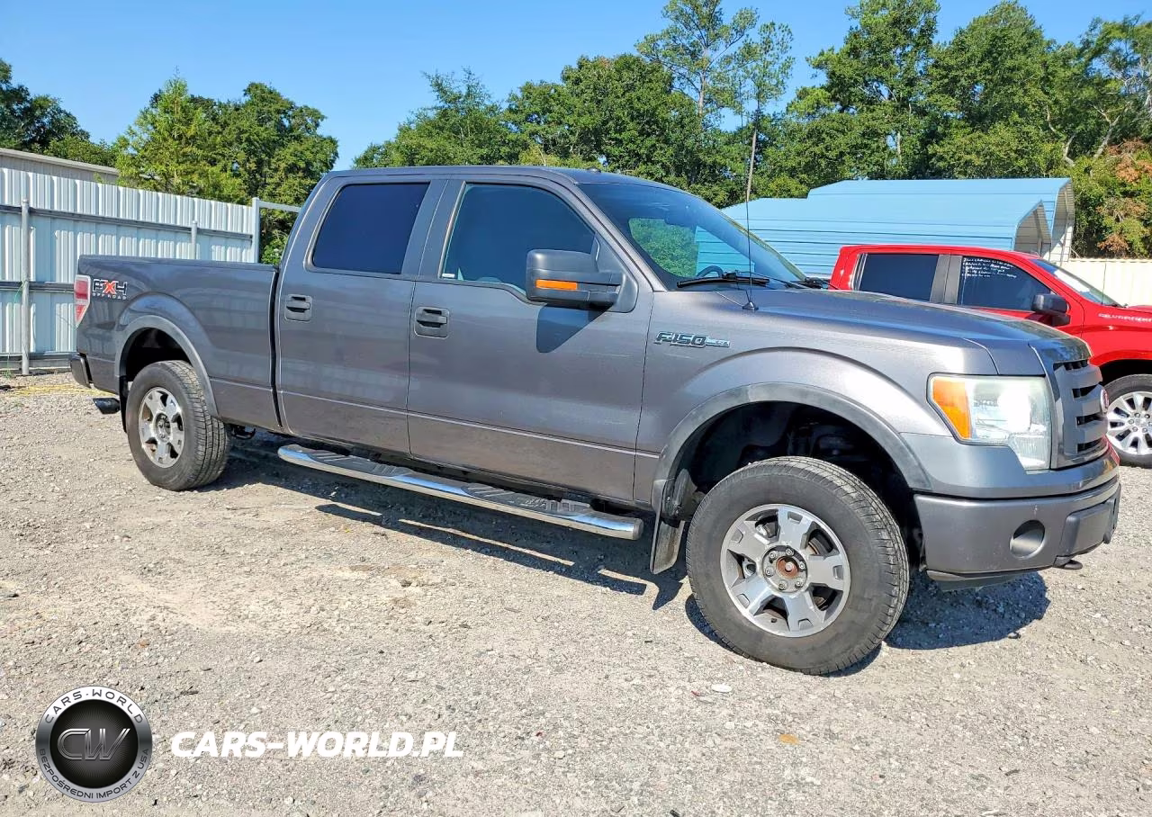 2010 Ford F-150 Fx4-Harley-Davidson-King Ranch-Lariat-Platinum-Xl-Xlt VIN:1FTFW1EV8AFA44930 - 4